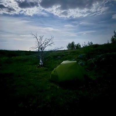 Nachtaufnahme einer offenen Karst-Hochfläche bei klarem Mondlicht. Links oben steht der helle Vollmond am Himmel, durchzogen von langen, hellen Streifenwolken. Mittig links erhebt sich ein einzelner, kahler, toter Baum mit knorrigen Ästen. Rechts daneben steht ein einsames grünes Zelt im Gras. Im Hintergrund tiefblauer Nachthimmel mit dünner Wolkendecke, am Horizont angedeutet ein Bergrücken. Keine Personen sichtbar.