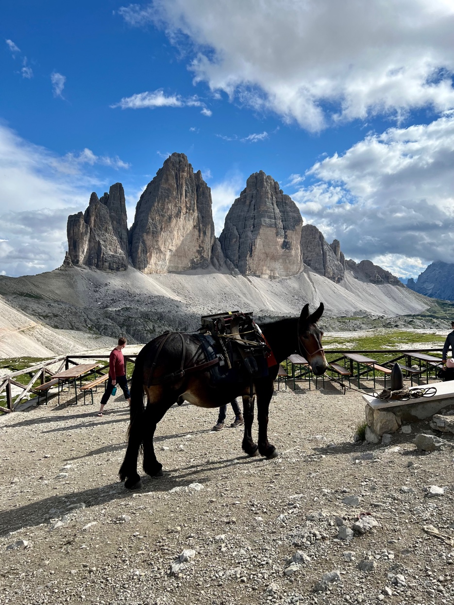 Drei Zinnen – Dolomiten